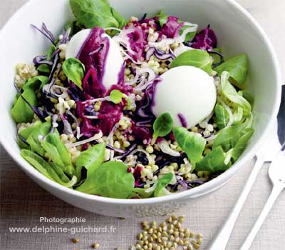 recette de salade végétarienne complète